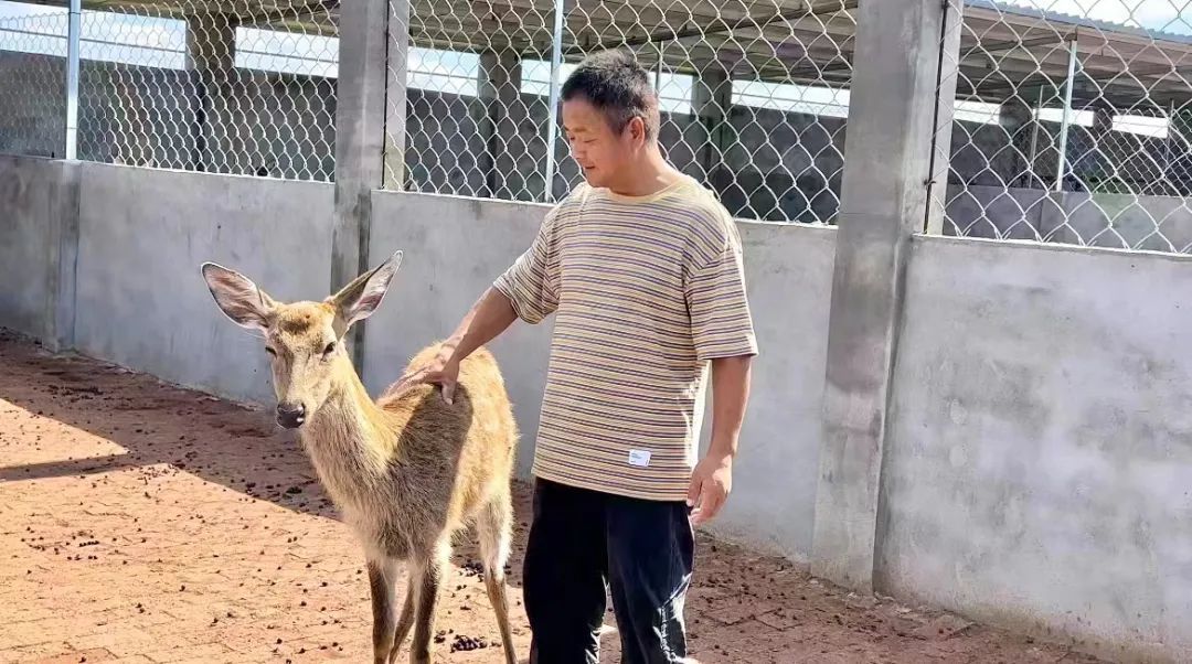 c7娱乐是黑平台吗